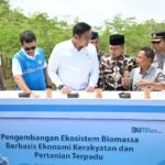 546483d5 7690 4b2d 8e22 319dccca36f4 Sinergi PLN dan Kementerian Pertanian Dorong Ekosistem Biomassa Berkelanjutan