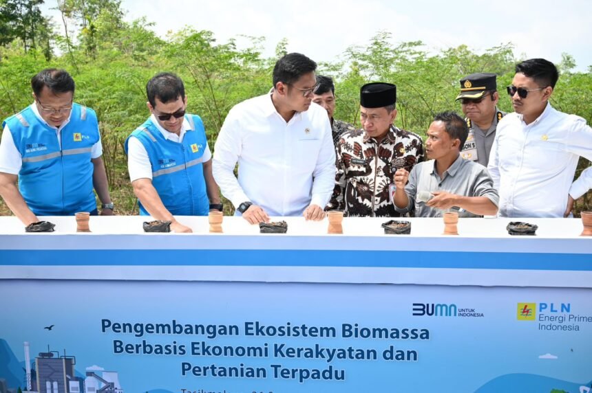 546483d5 7690 4b2d 8e22 319dccca36f4 Sinergi PLN dan Kementerian Pertanian Dorong Ekosistem Biomassa Berkelanjutan