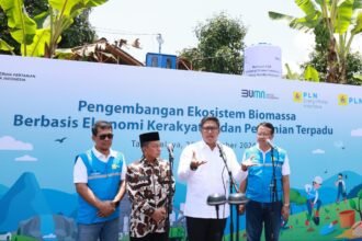 IMG 20240928 WA0035 PLN akan Ubah Lahan Kritis Menjadi Ekosistem Biomassa Produktif