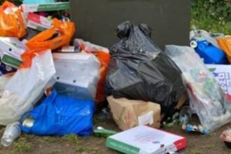 Logopit 1725780811862 Keren! Pemkot Denpasar akan Mengolah Sampah Palstik menjadi Paving Blok