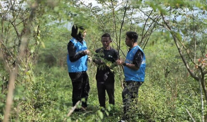 biomassa Pemerintah Mendukung Penuh, Pengembangan Biomassa PLN di Tasikmalaya Dikelola Masyarakat