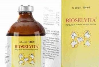 bioselvita Bioselvita, Solusi Nutrisi untuk Optimalkan Kesehatan dan Produktivitas Ternak