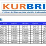 Cara Ajukan Pinjaman Rp22 Juta dengan Cicilan 1 Tahun dan Syarat Mudah KUR BRI 2024