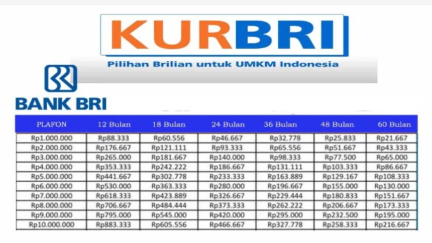 Cara Ajukan Pinjaman Rp22 Juta dengan Cicilan 1 Tahun dan Syarat Mudah KUR BRI 2024