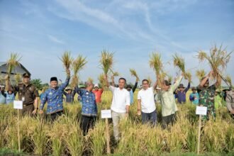 Penjabat Gubernur Jabar Bey Optimistis Produksi Gabah Kering Giling di Jawa Barat akan mencapai target 11.084.635 ton sampai akhir 2024. (istimewa)
