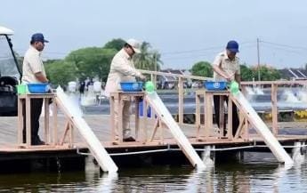 IMG 20241202 WA0002 Dorong Ekonomi Biru dan Ketahanan Pangan Prabowo Tebar Benih Ikan Nila Salin