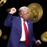 Katalis utama kenaikan harga Bitcoin mencakup berbagai aspek, mulai dari siklus halving, perubahan politik global seperti kemenangan Donald Trump dalam pemilihan presiden AS