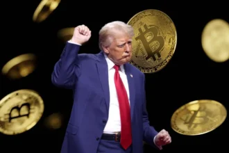 Katalis utama kenaikan harga Bitcoin mencakup berbagai aspek, mulai dari siklus halving, perubahan politik global seperti kemenangan Donald Trump dalam pemilihan presiden AS