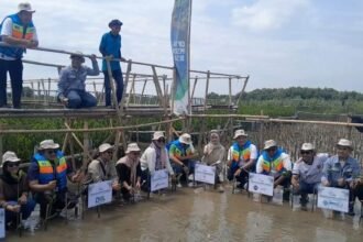 ASLIK3 Indonesia Tanam 2.500 Mangrove di Pantai Muara Baru, Cilamaya Wetan, Jabar, untuk Lindungi Ekosistem Pesisir. (istimewa)