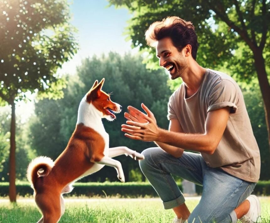 IMG 20250101 WA0013 Anjing Basenji, Hewan Eksotis Tidak Menggonggong yang Banyak Dicari Orang