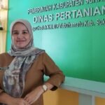 IMG 20250106 WA0002 Pupuk Bersubsidi 2025, Dinas Pertanian Kabupaten Sukabumi Siapkan Mekanisme Baru