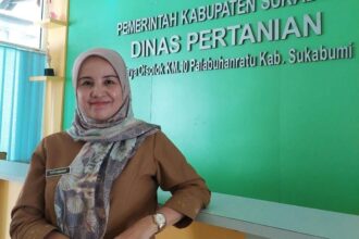 IMG 20250106 WA0002 Pupuk Bersubsidi 2025, Dinas Pertanian Kabupaten Sukabumi Siapkan Mekanisme Baru