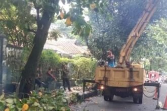 IMG 20250115 WA0002 Disperkim Kabupaten Sukabumi Pangkas Pohon Rawan Tumbang