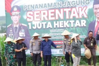 IMG 20250121 WA0013 Wabup Iyos Dukung Penanaman Jagung 1 Juta Hektar di Sukabumi