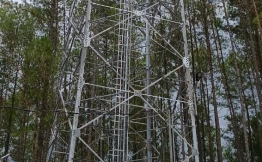 Ilustrasi tower yang dibangun di Kampung Pasir Puyuh Desa Cijulang. Kecamatan Jampangtengah. (Istimewa)