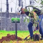 PT PLN (Persero) bersama PT Jawa Satu Power melakukan penanaman pohon memperingati Hari Gerakan Satu Juta pohon di area GISTET 500kV Cibatu Baru II/Sukatani, Karawang. (istimewa)