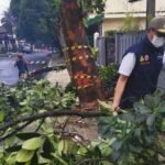 IMG 20250201 WA0005 BMKG Ingatkan Cuaca Ekstrem di Sukabumi, Waspadai Angin Kencang