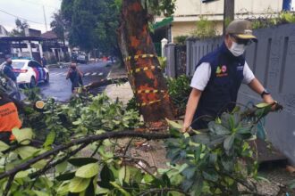 IMG 20250201 WA0005 BMKG Ingatkan Cuaca Ekstrem di Sukabumi, Waspadai Angin Kencang