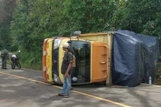 Truk bermuatan limbah kardus dengan nomor polisi B 9187 TYW terguling akibat kesalahan manuver saat melintas.