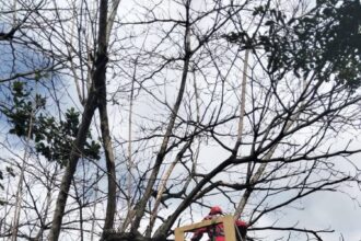 Source: Pemerintahan kabupaten Sukabumi