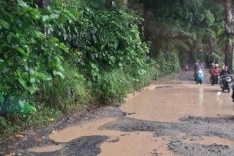 Kondisi jalan rusak parah di ruas Penggeleseran-Cibatu