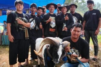 IMG 20250413 WA0010 Peternak Domba Jawa Barat Silaturahmi di Bandung Barat Sekaligus Adu Ketangkasan Domba