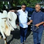 8d3e3410 9992 49d0 be0c f2653eb8498e Wagub Erwan Salurkan Hewan Kurban untuk Warga Sekitar Rumah Dinas