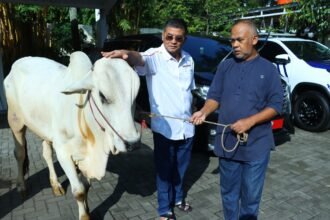 8d3e3410 9992 49d0 be0c f2653eb8498e Wagub Erwan Salurkan Hewan Kurban untuk Warga Sekitar Rumah Dinas