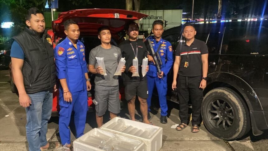 IMG 20250617 WA0002 Polairud Baharkam Polri Berhasil Menggagalkan Penyelundupan 11.543 Ekor Benih Lobster Di Sukabumi