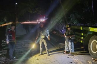 IMG 20250624 WA0002 1 Orang Tewas Akibat Tertimpa Truk Bermuatan Triplek di Jampangtengah Sukabumi