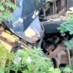 IMG 20250630 WA0000 Truk Pengangkut Kayu Jati Masuk Jurang di Tegalbuleud Sukabumi Sopir Tewas 