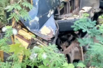 IMG 20250630 WA0000 Truk Pengangkut Kayu Jati Masuk Jurang di Tegalbuleud Sukabumi Sopir Tewas 