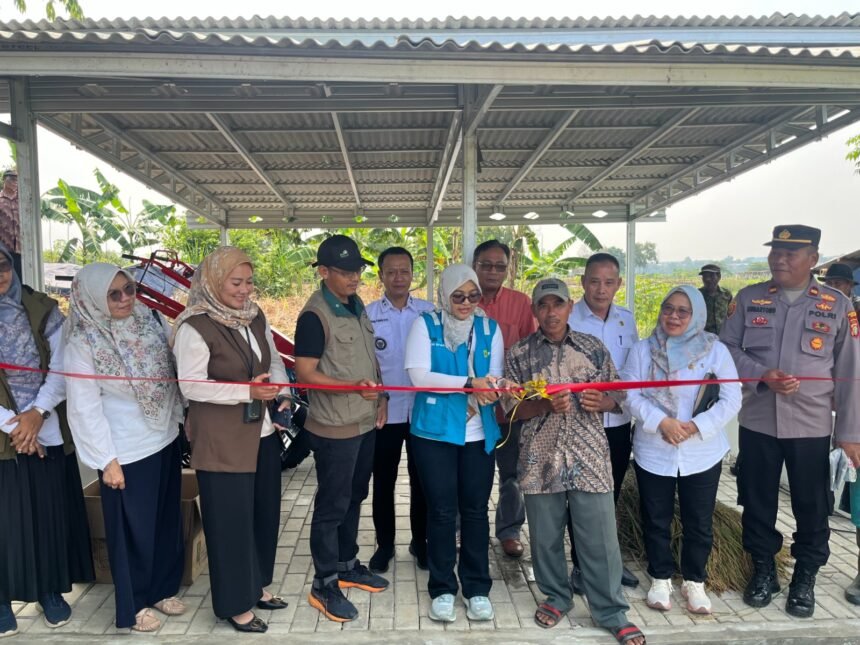 IMG 20250630 WA0041 Tingkatkan Produktivitas Pertanian, PLN Hadir Buat Rakyat Lewat Program Electrifying Agriculture untuk Kelompok Tani Berkah Sakabeh Bekasi