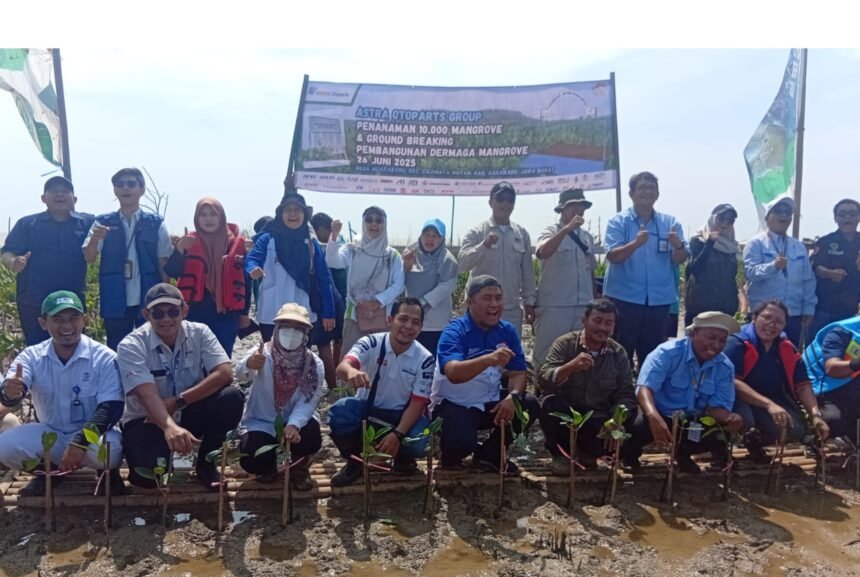 Logopit 1750935738018 Astra Otoparts Grup Bersama CPD Tanam 10 Ribu Mangrove dan Bangun Dermaga di Pesisir Pantai Desa Muarabaru