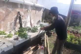 skb0011 Dari Halaman Rumah Jadi Ladang Usaha: Ibu Maria Sukses Kembangkan Pertanian Mini di Tengah Perumahan
