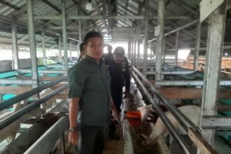 IMG 20250724 WA0103 1 BNN Sukabumi Kunjungi Bodogol Edu Farm, Dukung Mahasiswa IPB Berbagi Ilmu ke Masyarakat