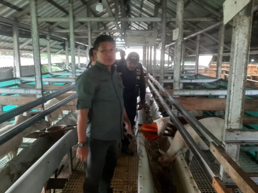 IMG 20250724 WA0103 1 BNN Sukabumi Kunjungi Bodogol Edu Farm, Dukung Mahasiswa IPB Berbagi Ilmu ke Masyarakat