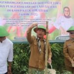 cc Gerakan Panen Raya Cabai, Wabup: Konsep Agrowisata dan Industri Sejahterakan Petani