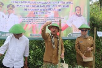 cc Gerakan Panen Raya Cabai, Wabup: Konsep Agrowisata dan Industri Sejahterakan Petani
