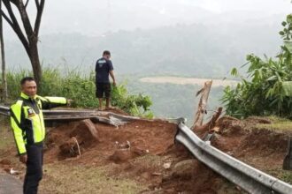 IMG 20250820 WA0002 Truk Bermuatan Pupuk Rem Blong, Terjun ke Jurang 200 Meter di Tikungan Maut Cikidang