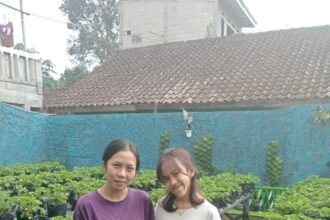 IMG 20250901 WA0002 Asyik! Kebun Stroberi di Sukabumi Ini Bisa Dipetik Sendiri dan Gratis Masuk