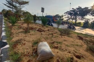 Logopit 1757505538005 Heboh Sekam Ratusan Juta, DLH Karawang Pastikan ada Tahapan Penanaman Tanaman Hias