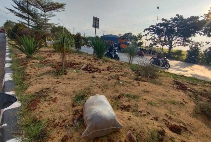 Logopit 1757505538005 Heboh Sekam Ratusan Juta, DLH Karawang Pastikan ada Tahapan Penanaman Tanaman Hias