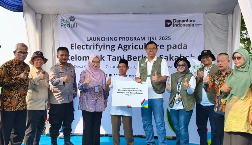 pertanian modern di bekasi PLN UPT Bekasi Wujudkan Pertanian Modern, Listriki Sawah dan Dukung Sistem Pembibitan