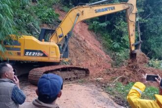 IMG 20251111 WA0004 Tebing Setinggi 20 Meter Longsor di Ciemas Sukabumi, Akses Jalan Paltilu–Ciemas Sempat Lumpuh