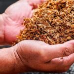 IMG 20251123 WA0030 Kisah tak Terduga Bos Djarum Oie Wie Gwan, Dari Kembang Api Sampai Tembakau