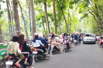 Wisata Kebun Kembang di Desa Cikampek Timur, Karawang, selalu ramai pengunjung setiap kali hari libur. (Telusurbisnis)