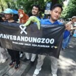 Pegawai Bandung Zoo mengamen demi selamatkan 711 satwa kebon binatang. (ist)