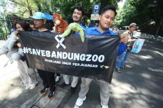 Pegawai Bandung Zoo mengamen demi selamatkan 711 satwa kebon binatang. (ist)