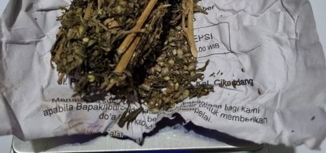 Ganja kering barang bukti yang disita petugas dari pelaku. (Prima Arno/Telusurbisnis)